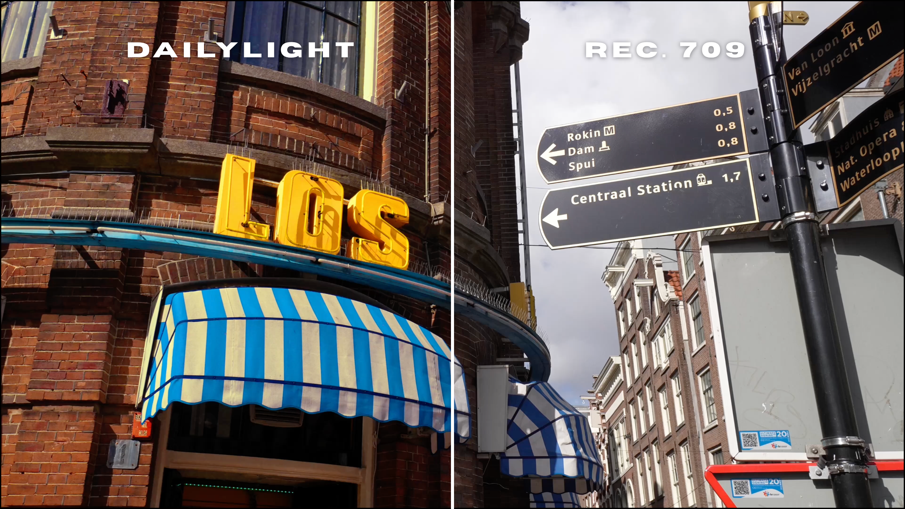 DAILYLIGHT LUT