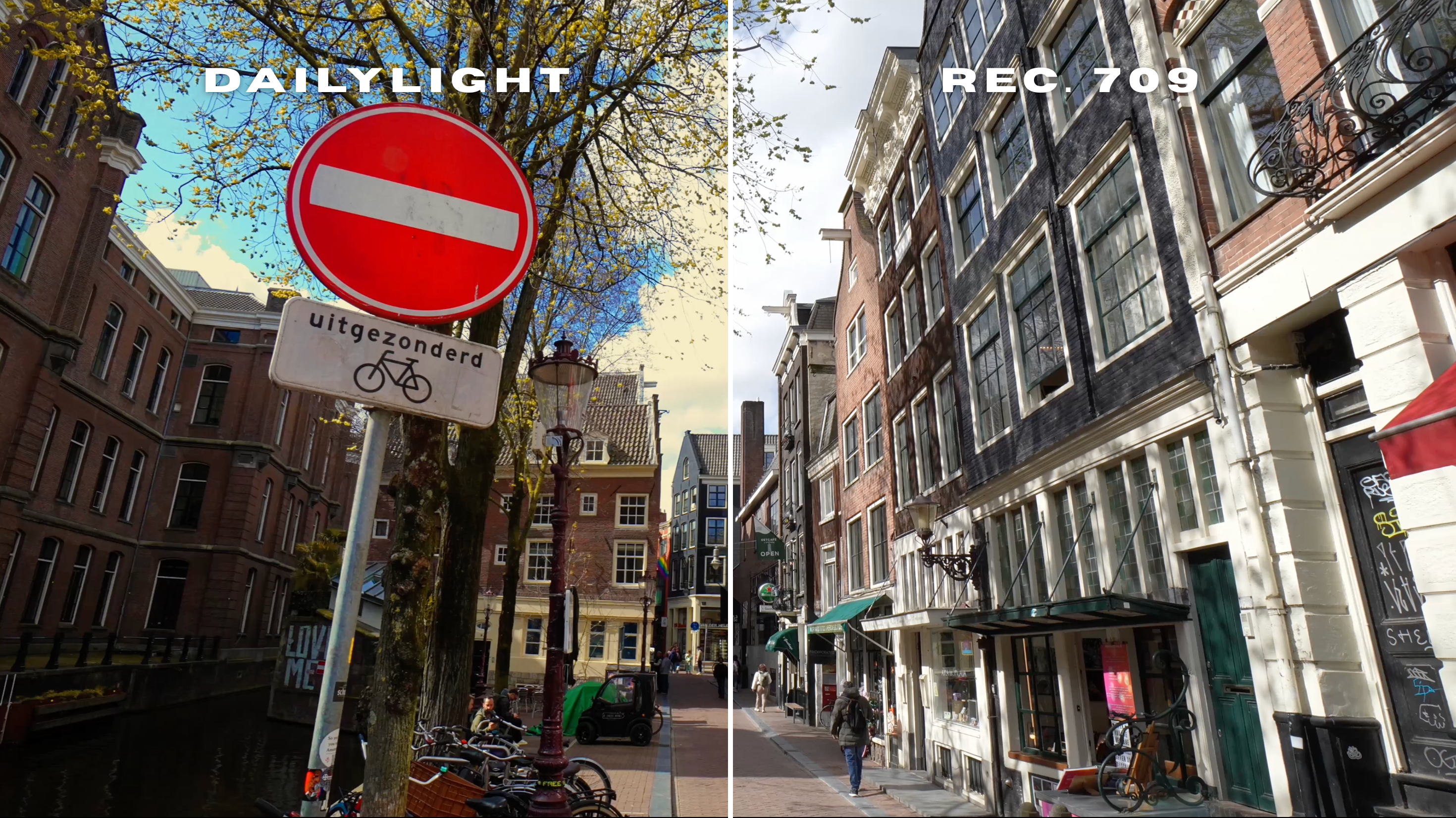 DAILYLIGHT LUT