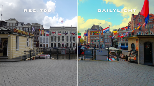 DAILYLIGHT LUT